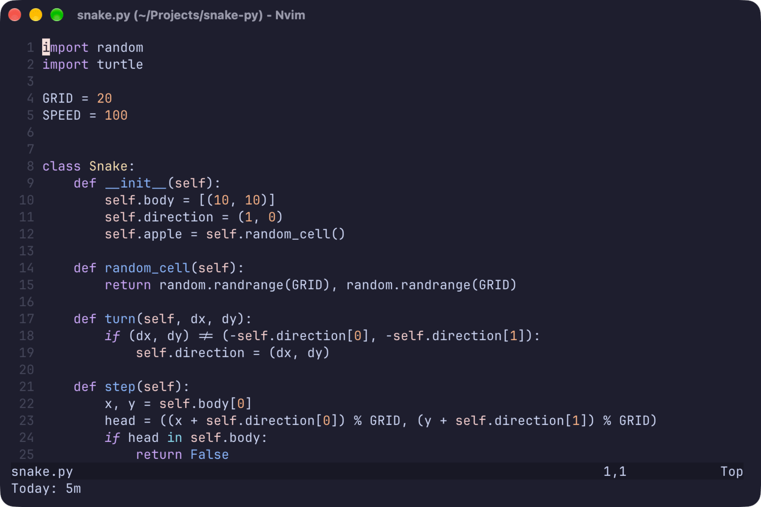 Neovim showing Today: 5m after running :WakaTimeToday