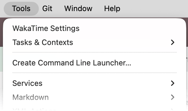 RubyMine Tools menu with WakaTime Settings at the top