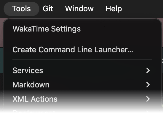 RustRover Tools menu with WakaTime Settings at the top