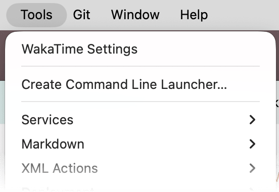 RustRover Tools menu with WakaTime Settings at the top